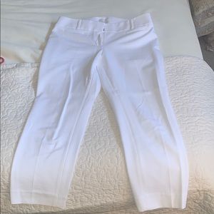 LOFT Julie Fit Riviera Pant